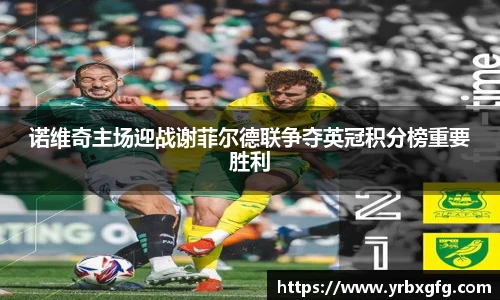 诺维奇主场迎战谢菲尔德联争夺英冠积分榜重要胜利