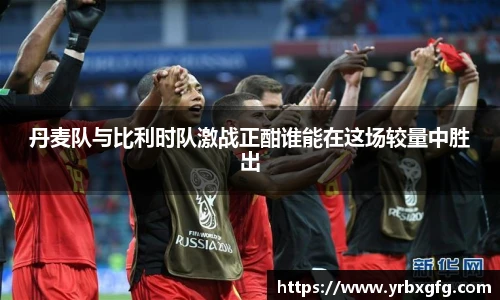 丹麦队与比利时队激战正酣谁能在这场较量中胜出