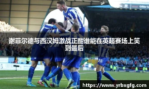 谢菲尔德与西汉姆激战正酣谁能在英超赛场上笑到最后